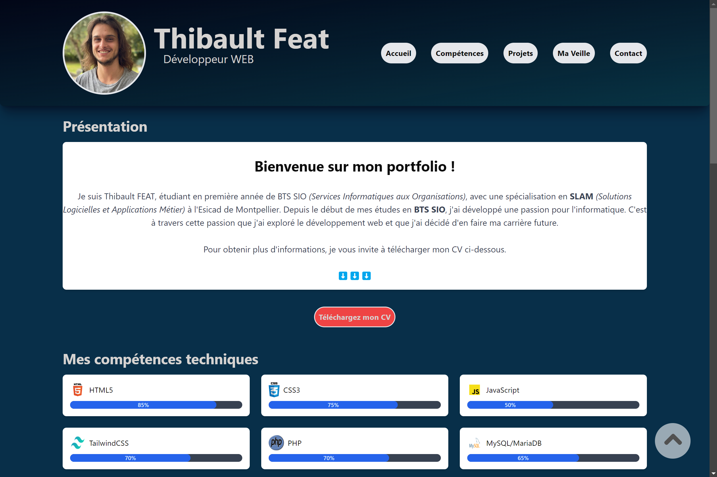 Screenshot du Portfolio
